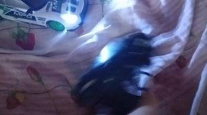 машинка на пульте управления