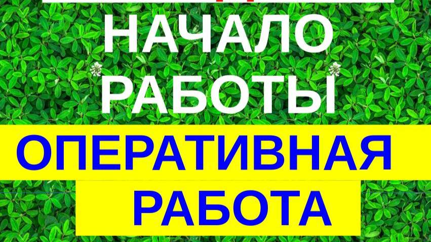5.Начало работы сисадмина. Оперативная работы