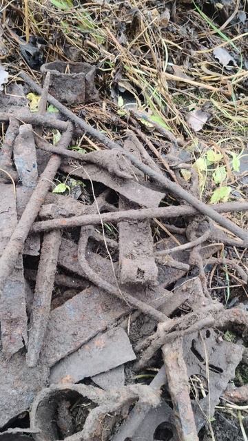 Металлокоп проездом