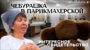 Свидетельство Чебурашка в парикмахрской