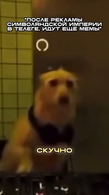 Кринж Лайк, Абонент недоступен, рингтон мамы |Свежие Мемы из TikTok в Shorts! #nikkat #мем #новости смотреть онлайн