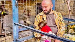 Вы посмотрите, КАК ТЯНЕТСЯ Маня и Тося к Анфисе, а ей лишь бы ЕЕ ЕДУ НЕ ЕЛИ!))