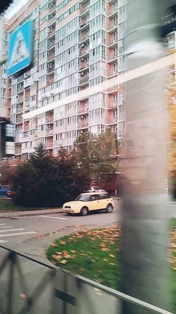 ЦВЕТОЧКИ 💐