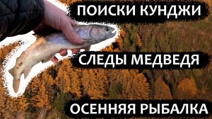 Следы медведя. Одна кунджа. Осенняя рыбалка. Рыбалка Сахалин #Сахалин #Рыбалка #кунджа #рыбалкаСахал