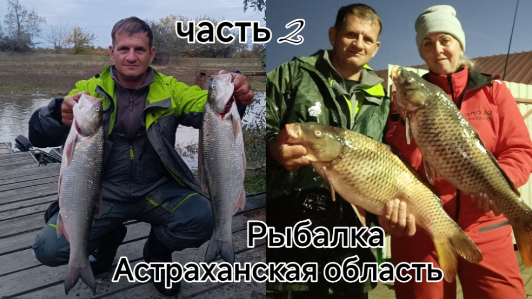 Рыбалка в Астраханской области. октябрь 2025 часть2 смотреть онлайн