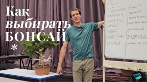 Лекция Алессандро Бонардо / Как выбирать бонсай