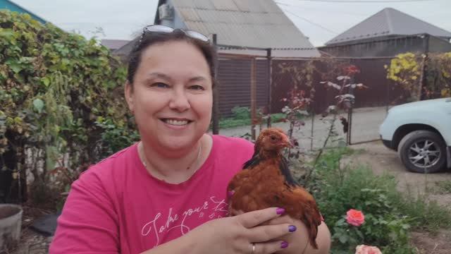 Сбылась наша мечта! 👍 Баня на даче. Потихоньку благоустраиваем участок. смотреть онлайн