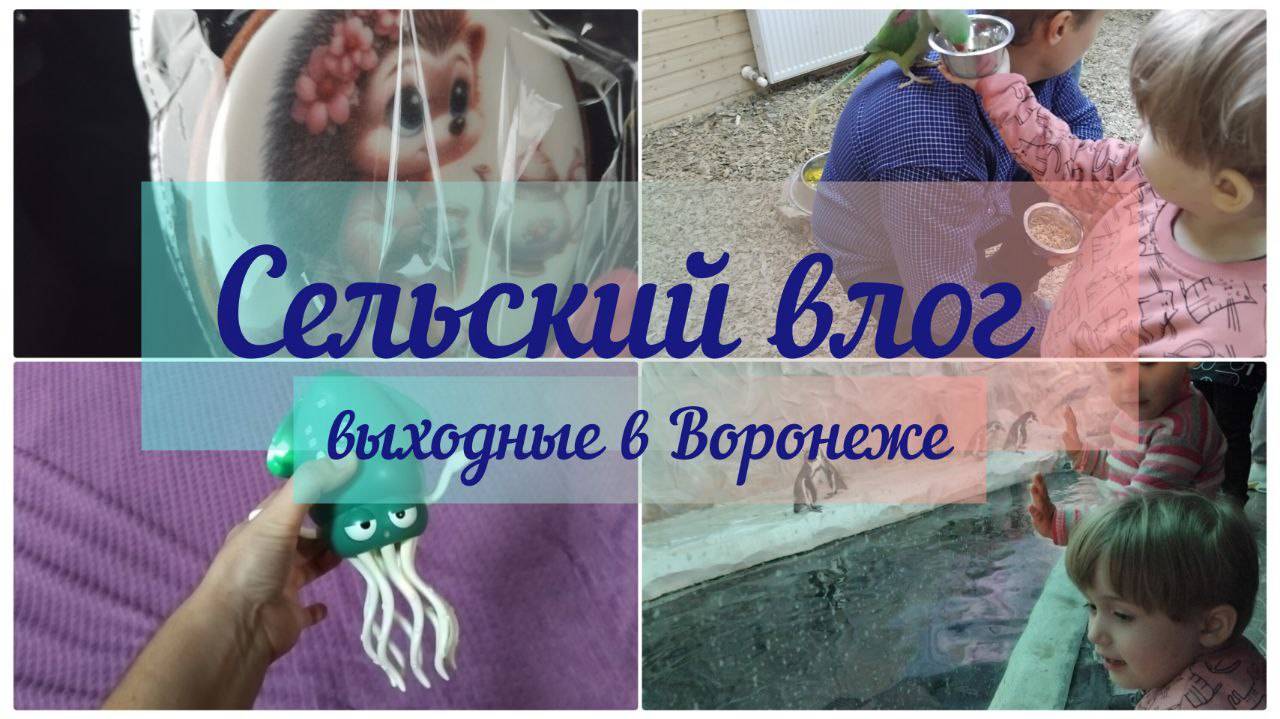 ВЫХОДНЫЕ В ВОРОНЕЖЕ. путешествие с погодками. Воронежский океанариум. Сельский влог смотреть онлайн