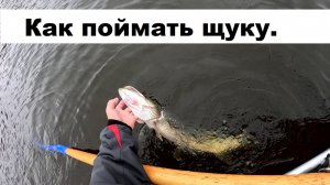 Три фактора успешного твичинга.