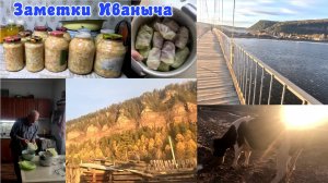 Работа дома не кончается, голубцы от Иваныча