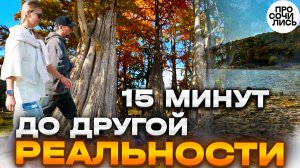 Осень в Анапе ➤поход от ЖК Кипарис до Кипарисового озера ➤кипарисы Сукко ➤осенний лес 🔵Просочились