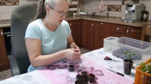 Занимаюсь цветами. 💐Кое что приготовила к обеду.