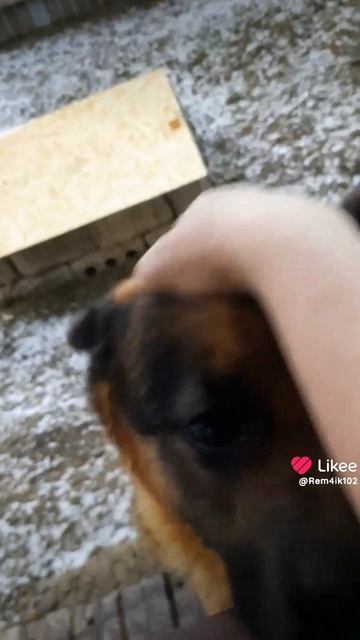 Две души💕 смотреть онлайн