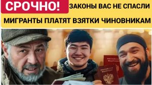 🔴 ЗАКОНЫ НАРОД НЕ СПАСЛИ! Мигранты платят взятки, а Россия теряет контроль — что происходит