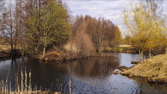 Стих Ермака Жучкова 