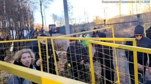 Покровское-Стрешнево - массовая вырубка деревьев - 5 ноября 2025