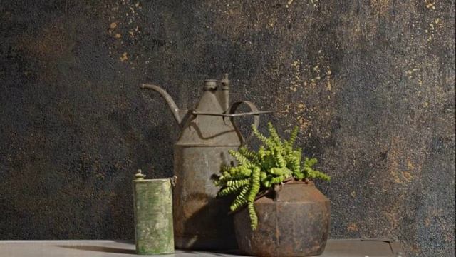 Marburg Selection смотреть онлайн