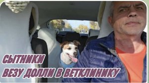 САМВЕЛ АДАМЯН, СЫТНИКИ, ВЕЗУ ДОЛЛИ В ВЕТКЛИНИКУ..