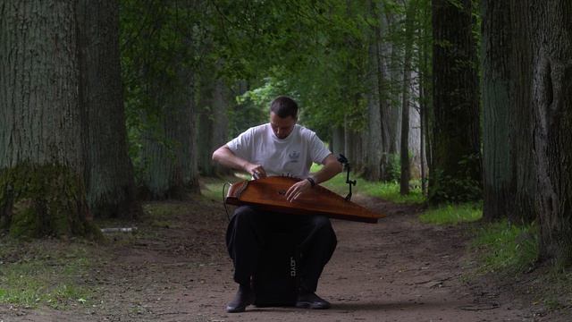 Гусли - Song From Secret Garden. Звучит завораживающе.