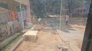 Румтур в ашраме. Комната за 400 рупий в сутки. Обед и прогулка по территории ашрама.