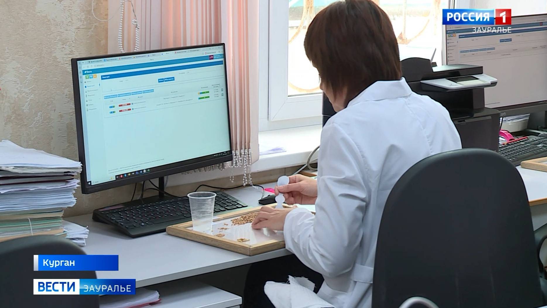 Качество зерна нового урожая сейчас проверяют специалисты смотреть онлайн