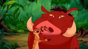 Песня из м/ф Король лев 'Акуна матата'