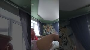 Собираемся в аэропорт