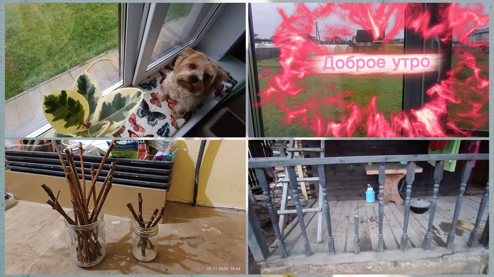 Доделываю остатки.Черенкую виноград смотреть онлайн