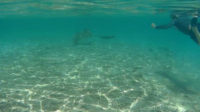 Погоня за скатом @ Maldives, Rahaa, 2023 смотреть онлайн