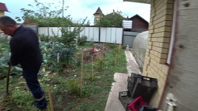 Влог от 03.09.2021 смотреть онлайн