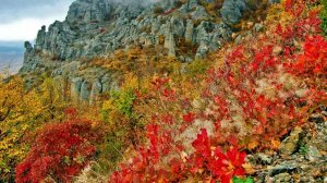 Осень в Крыму. Посмотрите и послушайте песню про Бабье лето.