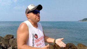 Три дельфина Чёрного моря.