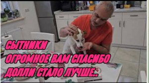 САМВЕЛ АДАМЯН, СЫТНИКИ, ОГРОМНОЕ ВАМ СПАСИБО, ДОЛЛИ СТАЛО ЛУЧШЕ..