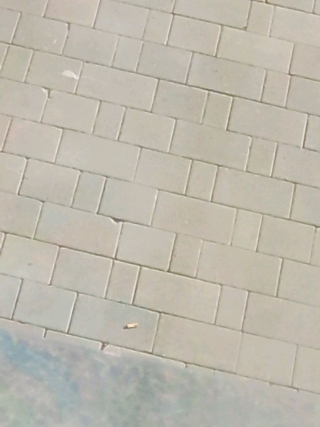 правила рутуба смотреть онлайн