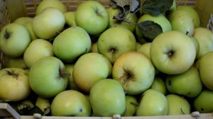 Вот что нужно готовить из яблок!  Яблочный пирог за 10 минут + время для выпечки!