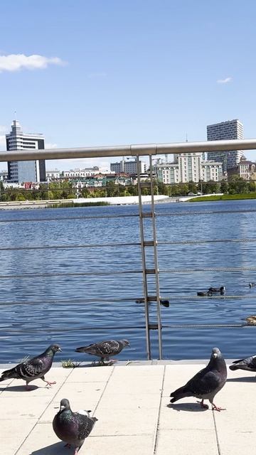 Озеро Кабан в Казани — мифы, утки и ханская легенда 🦆