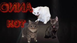 ЕСЛИ ОИИАОИИА КОТ ЗВОНИТ ВАМ - БЕГИТЕ (в 3 часа ночи)