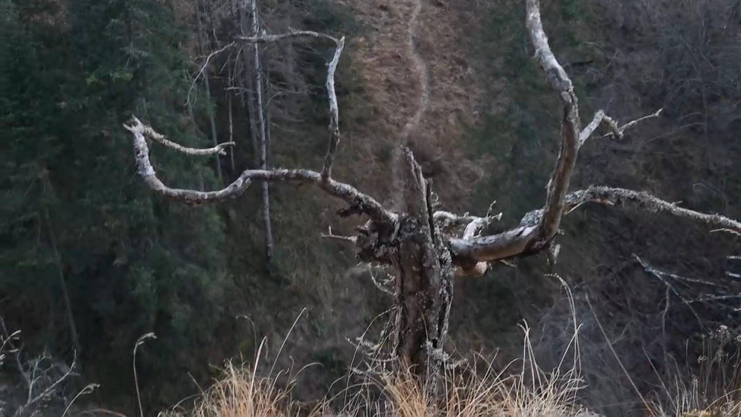 Айгир, 2025. смотреть онлайн