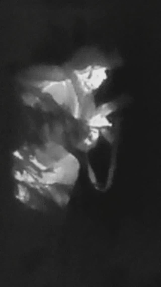 Черно-белый страйкбол смотреть онлайн