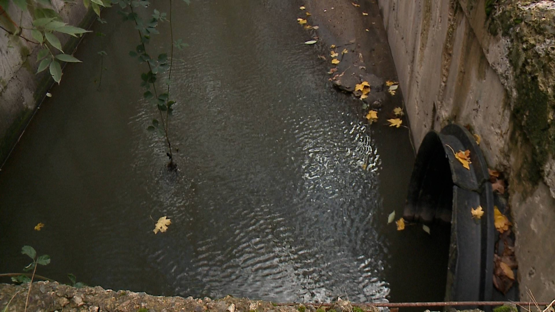 Проблемы с канализацией в одном из СНТ Ставрополя смотреть онлайн