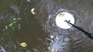 Поиск самородного Золота металлоискателем в реке!