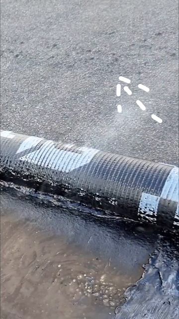 Линокром ТКП от Технониколь