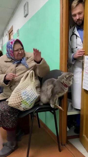 Звери в поликлинике🐯 Бабка в шоке 😱