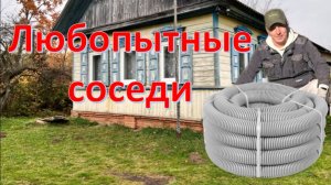 Деревенский / Любопытные соседи .