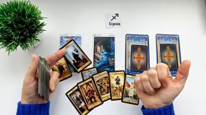 СТРЕЛЕЦ ЗИМА 2025 🌞 таро прогноз “открытые двери”/гороскоп на декабрь 2025/ январь 2026/ февраль