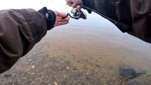 Удомля. Не стоит сюда ехать. Здесь рыбы нет!