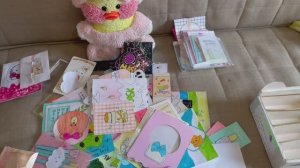 Влог с уточкой Милкой. Уборка в комнате.