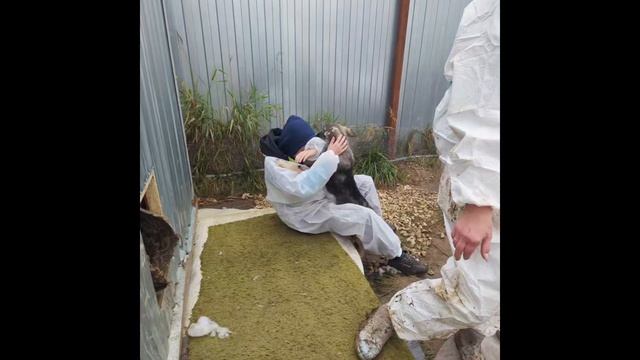 Юрьев-польские школы в приюте 