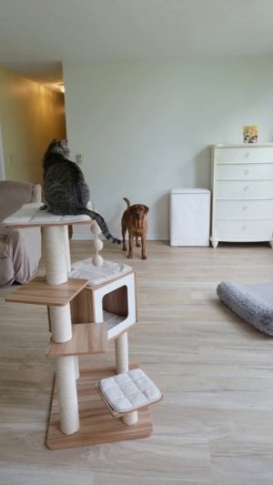 Командная работа