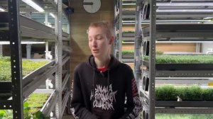 ЖМИ СЮДАСвободный график, своё дело и 50.000 рублей - реальность? Бизнес дома без капитала!